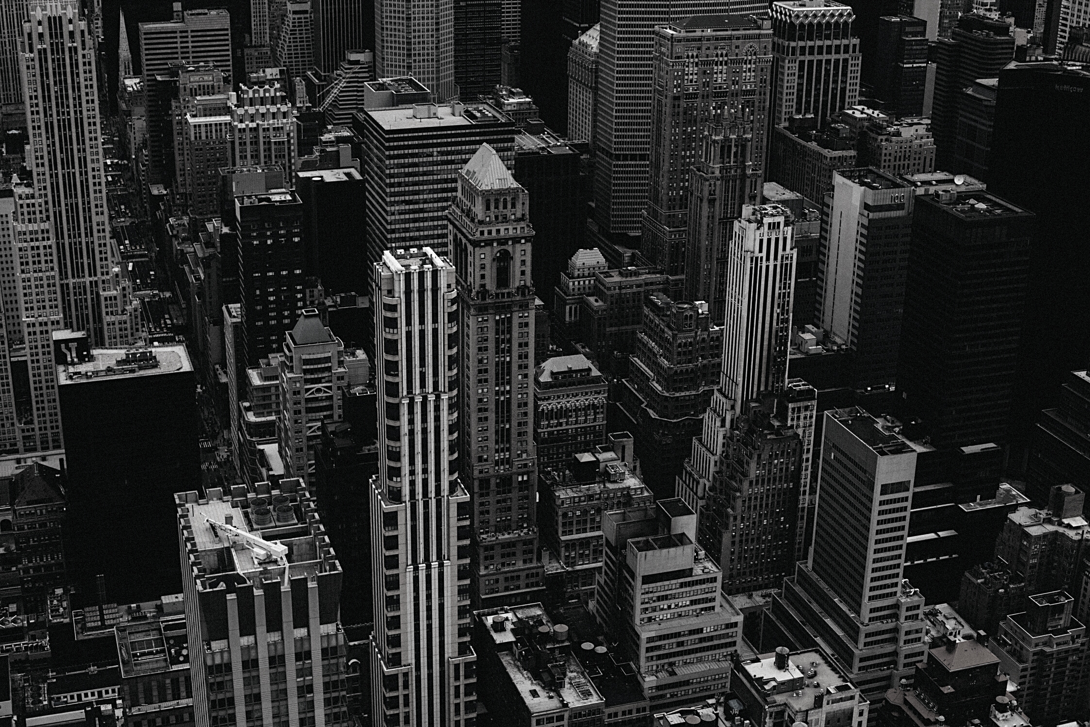 Modern architectural buildings in the city